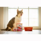 Cat Wet pet food Délice de Coeur 400g 6 Piece -3- Anifit